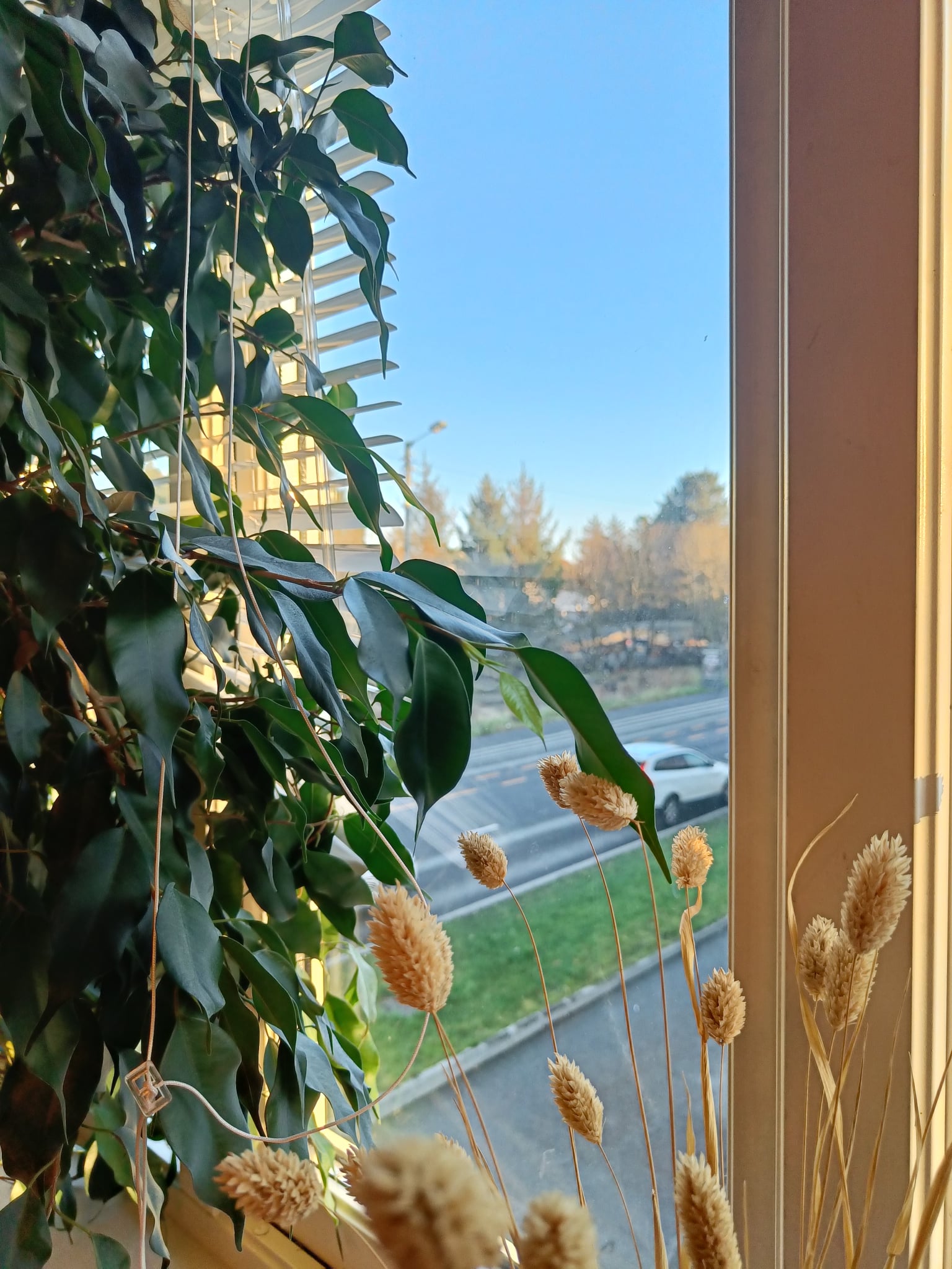 Vis Regnskap AS inne